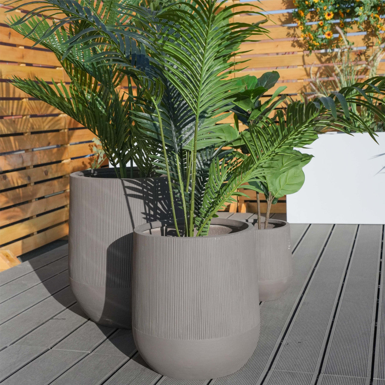 Oregelbunden Form Tre Kombinations Terrakotta Färg Blumentopf